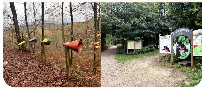 Stationen des Waldlehrpfads Eulenroute